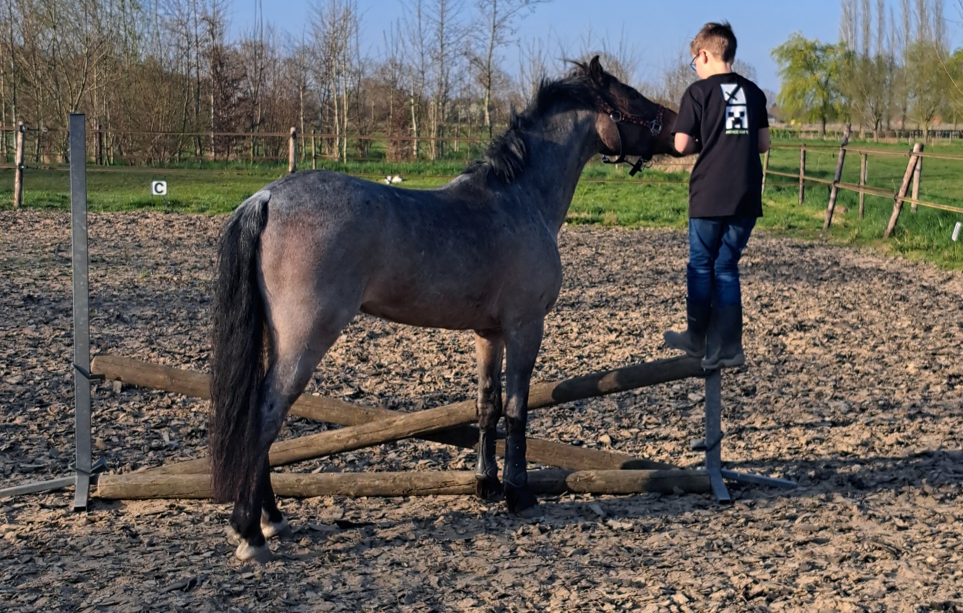 Kind met paard in natuurlijke omgeving