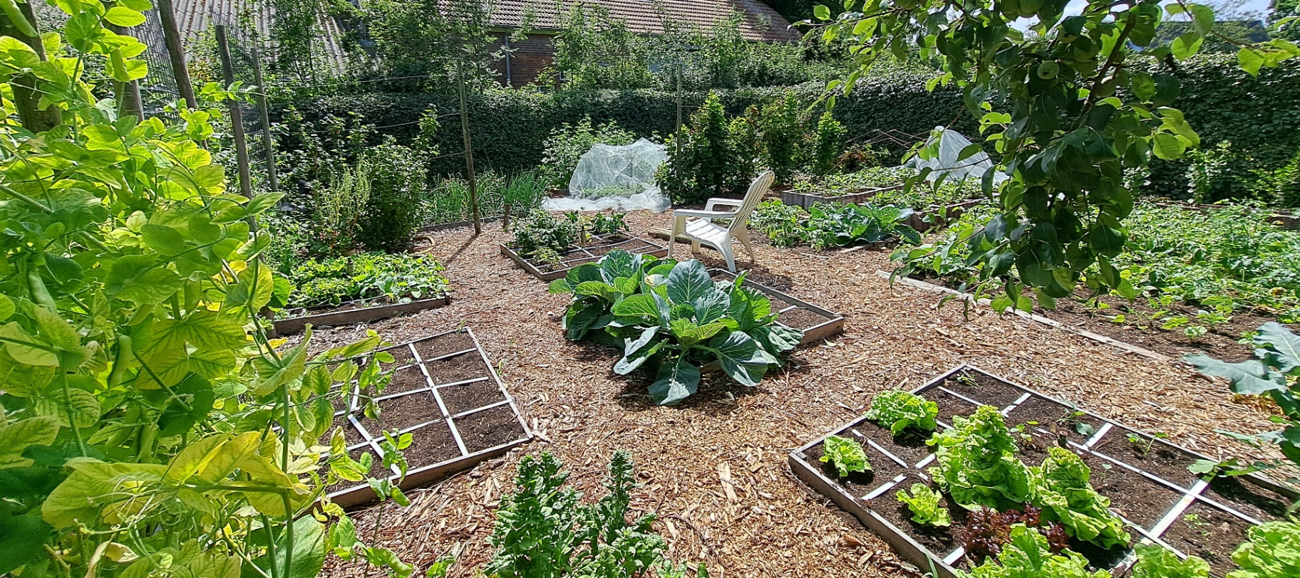 Moestuin met verse groenten en kruiden